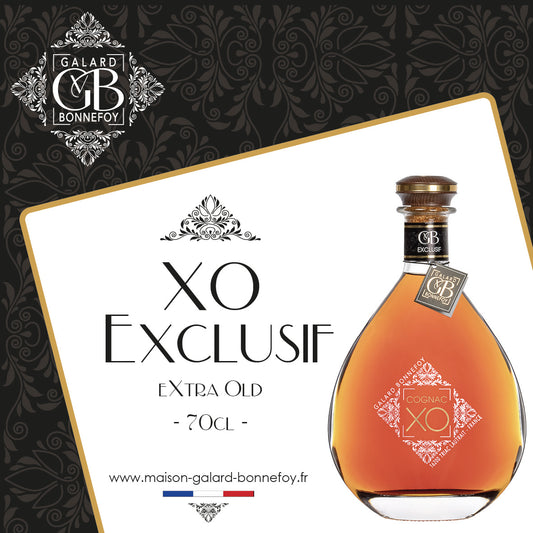 XO Exclusif